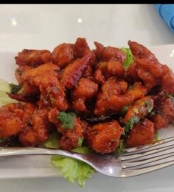 Shri Natraj Indian Cuisine